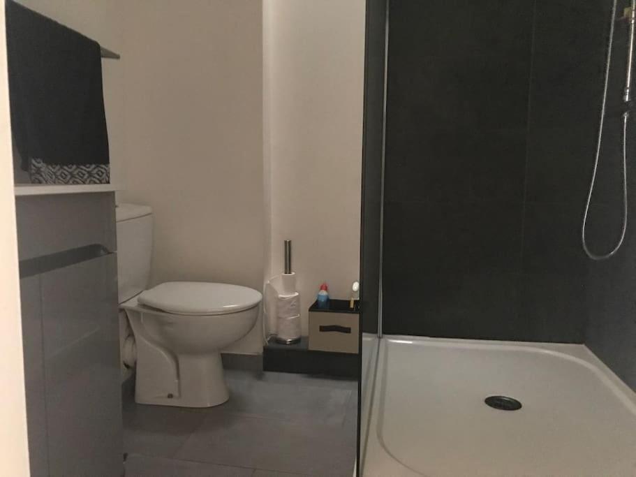 Appartement Avec Terrasse Centre De La Bastide Carcassone Kültér fotó